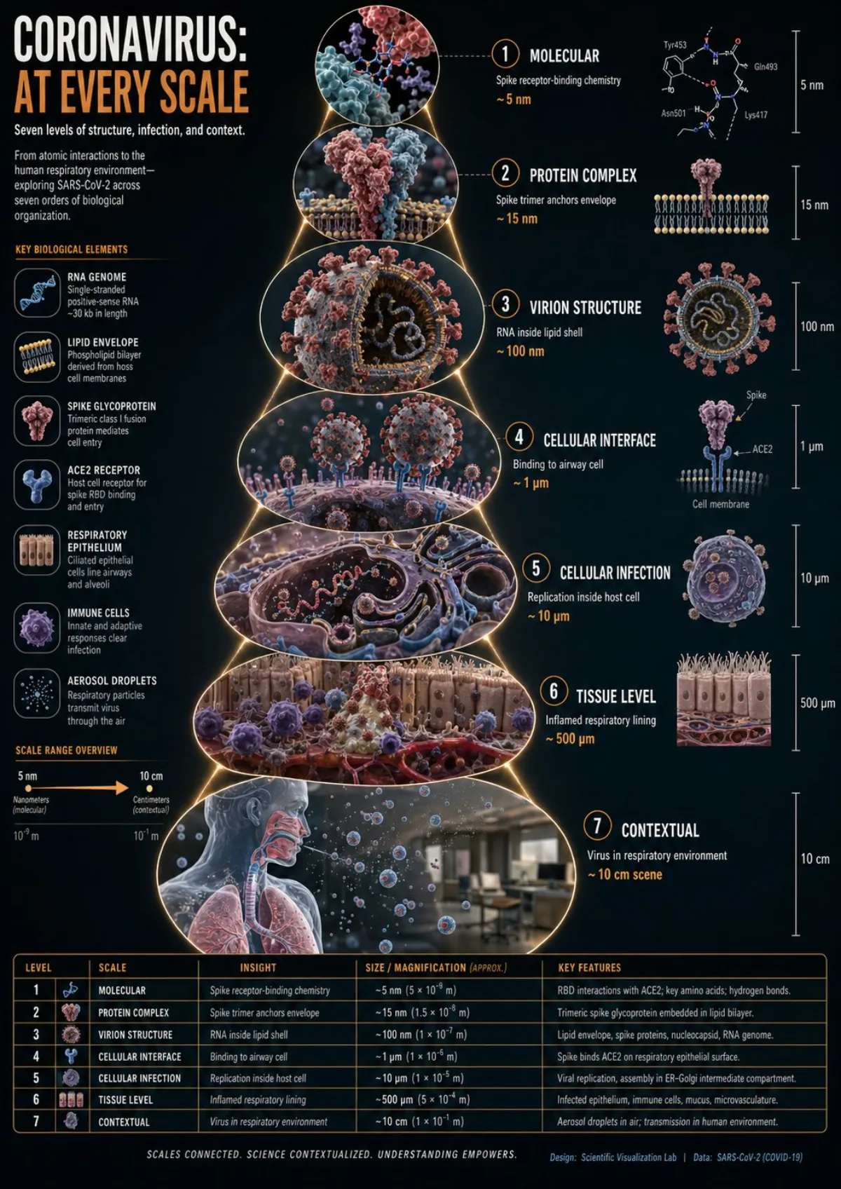 Instructions> [SUBJECT]=Coronavirus