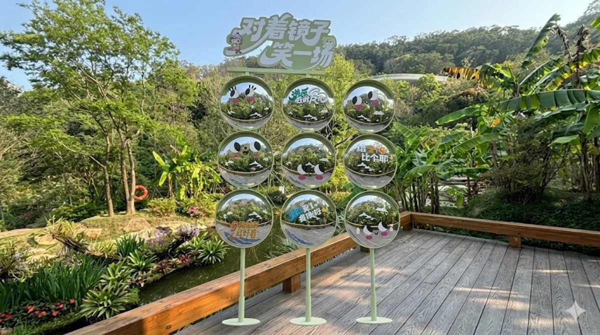 将展示架移到甲板上