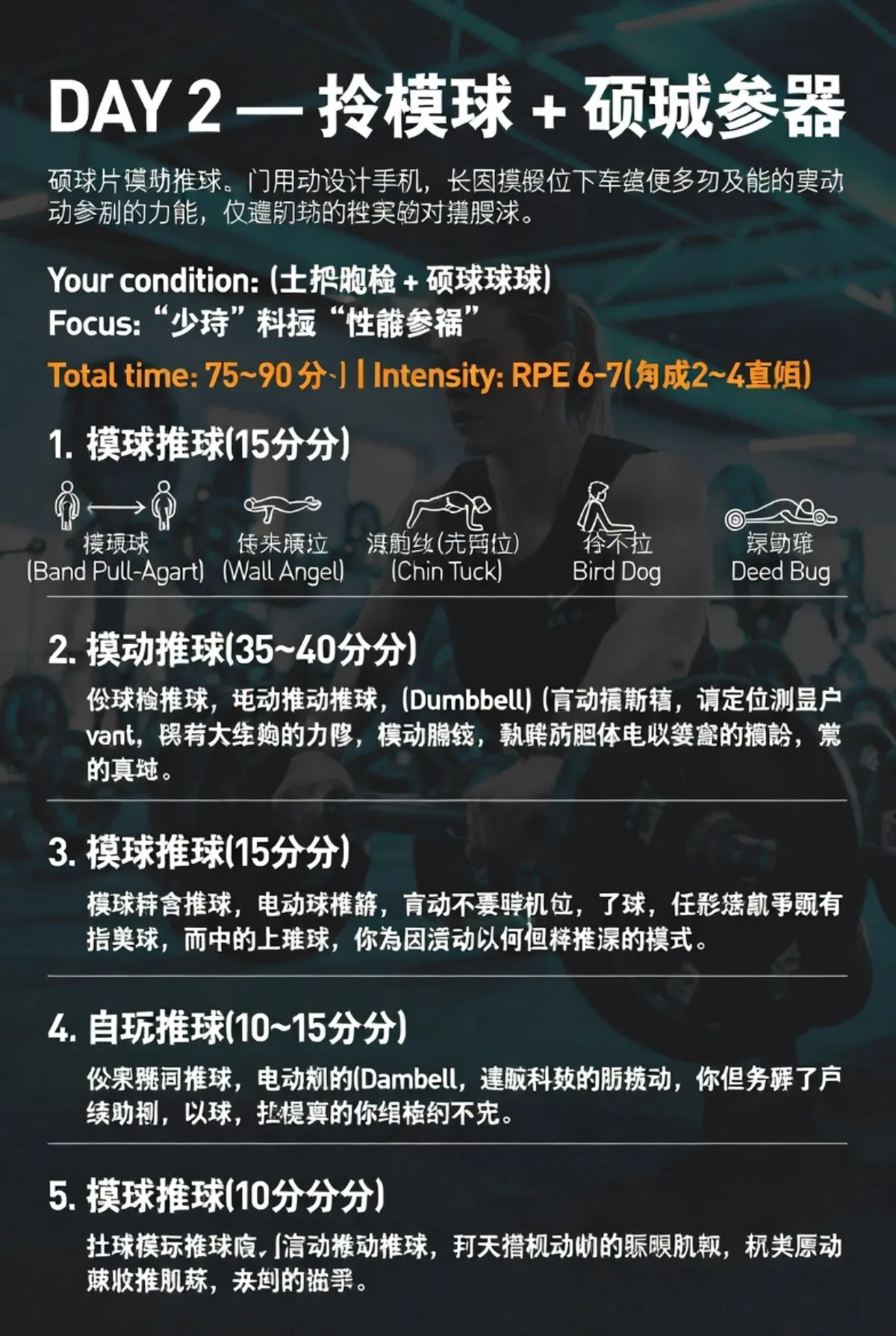 中文健身训练计划信息图