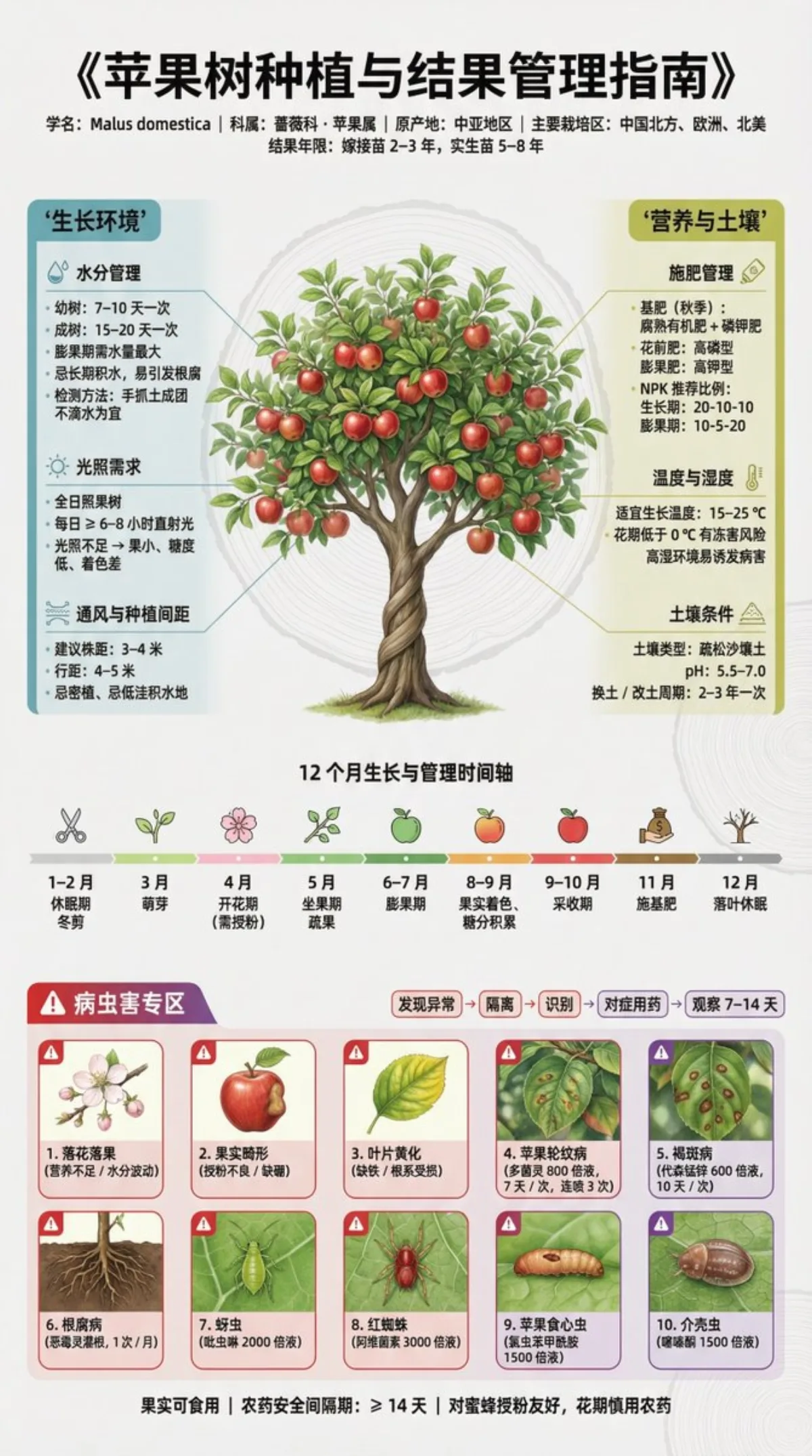 Fruit Tree Cultivation Science Exhibition Board (Crafted)