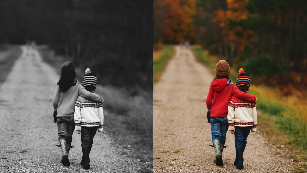 Colorize the photo