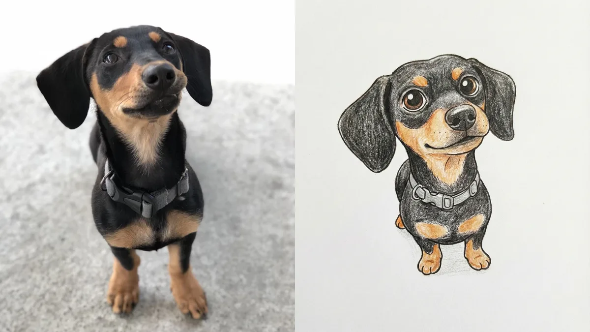 Transform the pet in this photo into a Q-version hand-drawn style, white backgro