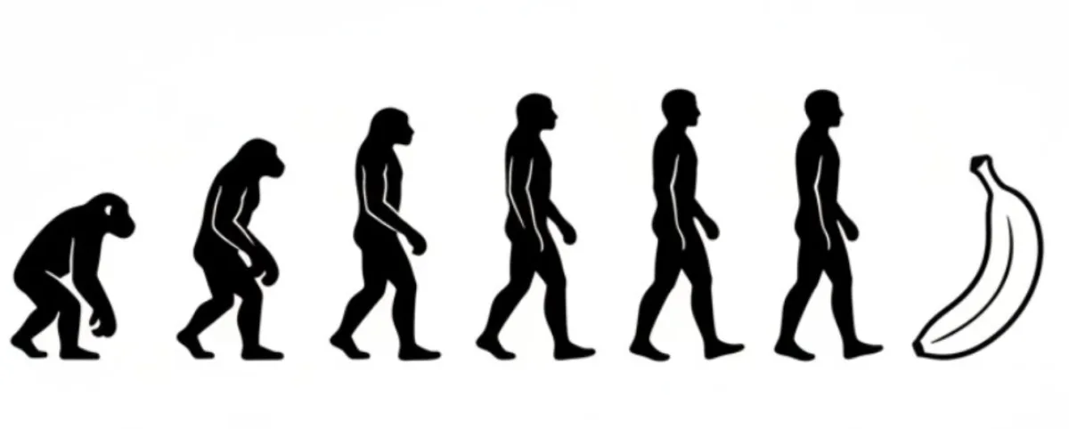 Minimalist Evolution Chart Ape To Human To Banana